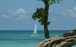 sailing-the-caribbean-1369166